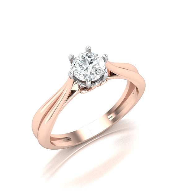 Ambrose Ring